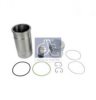 RENAULT 5001855845 Cylinder Sleeve Kit